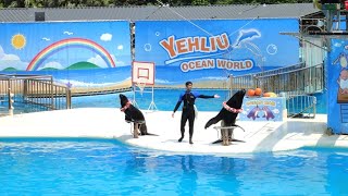 DOLPHIN SHOW @YEHLIU OCEAN WORLD  | LAST COMPANY TOUR 2022