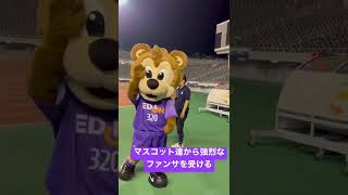 劇的逆転勝利のC大阪戦後にあげ太くん、山田くん、サンチェ、フレッチェから強烈なファンサを受ける。#サンフレッチェ広島