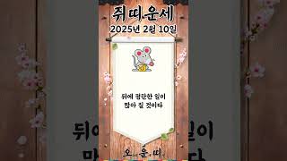 오늘의 쥐띠 운세 2025년 2월 10일 #쥐띠 #오늘의운세 #내일의운세 #운세 #운세쇼츠