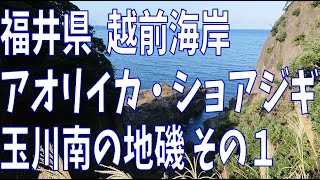 福井県 越前 玉川南の地磯 その１