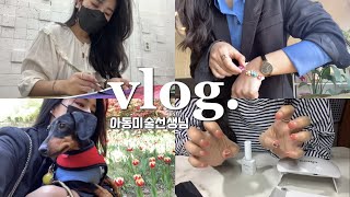 아동미술선생님VLOG I 아동미술교습소원장, 수업준비하고 수업하는 미술 선생님 일상, 첫 오호라 젤 네일, 대구 화원유원지, 어린왕자말고 애린왕자, 넷플릭스 낙원의 밤