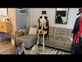 Unboxing Animated Skeleton with Dog from At Home #skeleton #halloween2024 #animatronics 🐕 💀