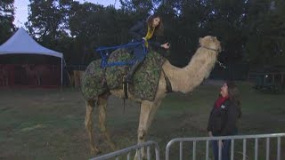 SA ready for Zoo Lights