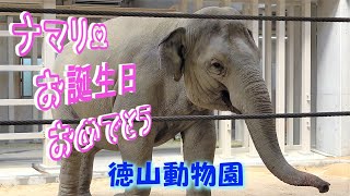 可愛い仲間たち【徳山動物園】TOKUYAMA ZOO　　♬ 風になる(カバー)猫の恩返し