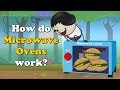 How do Microwave Ovens work? + more videos | #aumsum #kids #science #education #children