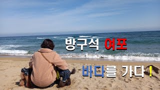 [톱밥이네VLOG] 바다를 처음 가 본 댕댕이의 반응은?? (강아지여행/동해 동호해수욕장)