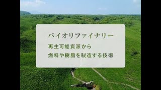 『ココカラ』Research20【植物から作る革新的なプラスチック！】/金沢大学研究紹介動画