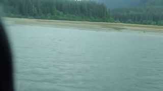 admiralty island bush plane landing