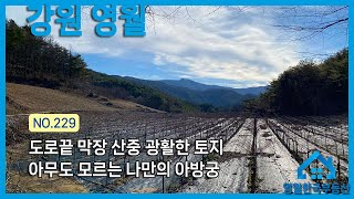 [NO.229] 투자용 귀농귀촌용 도로 끝 막장 산중 프라이빗 토지매매 가성비 좋은 영월토지 접근성 좋은 중대형 영월땅매매 #영월한국부동산