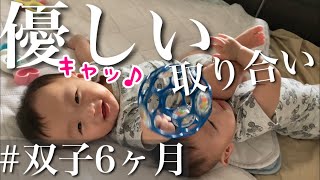 【双子6ヶ月の遊び】今だけかな(^^)こんなに優しくボールを取り合うなんて/オーボール/ほのぼの動画