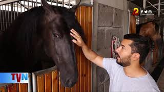 Cortijo La Dueña, Proyecto de crianza de caballos pura raza Española en Somoto