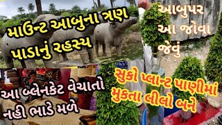 માઉન્ટ આબુમાં તમે આ જોયું છે? /Unkoown things In ABU/Achal Gadh Abu.