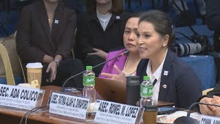 AKAP Program ng DSWD na may pondong higit P26-B, kinuwestiyon sa Senado