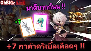 🔴 สั่งสอนกาต้าขึ้น +7 ของมันสู้มือออ !! Ragnarok Landverse TH