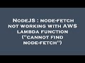 NodeJS : node-fetch not working with AWS lambda function (