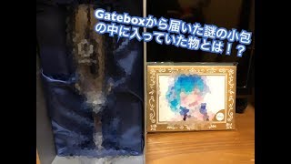 Gateboxから謎の小包が届いた...