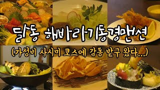 [울산 맛집] 달동 해바라기동경맨션 (가성비 짱 4만원 사시미 코스, 이자카야 추천)