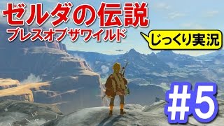 【初見実況】part5 じっくり冒険するゼルダの伝説 ブレスオブザワイルド