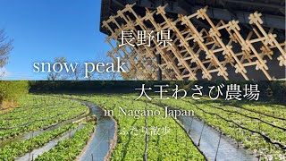 移住したい県No. 1の長野はやっぱり最高すぎた！ snow peak / 大王わさび農場 / 大満喫長野旅！