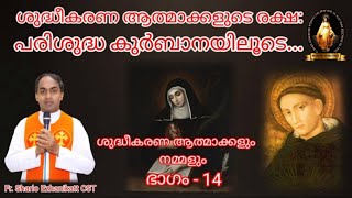 ശുദ്ധീകരണ ആത്മാക്കളുടെ രക്ഷ:പരിശുദ്ധ കുര്‍ബാനയിലൂടെ... | Fr Sharlo Ezhanikatt CST