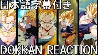 ドッカンバトル 夏の大型 第2弾 先行公開 LR 悟飯 リアクション Dokkan New LR Gohan REACTION