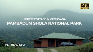 Vattavada Forest Stay | Pambadum Shola National Park | Vlog#90