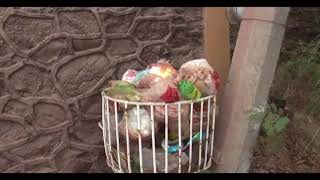 Problema de la basura en la Ciudad de México