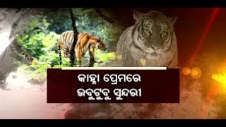 କାହ୍ନାର ସାନ୍ନିଧ୍ୟ ପାଇବାକୁ ସାତକୋଶିଆର କୋର୍ ଏରିଆରେ ବ୍ୟାକୁଳ ସୁନ୍ଦରୀ