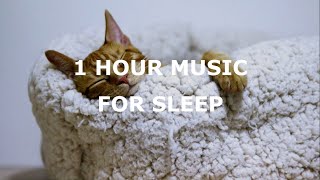 RELAX AND CHILL MUSIC | 1 HOUR MUSIC FOR SLEEP AND RELAX