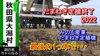 【たまねぎ定植終了　2022】今年は定植を早めましたが３週間かかりました　最後の最後あと畝１本のところで無情・・　砕土率が重要