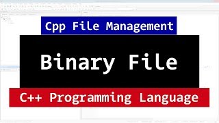 Binary Files in C++ | CPP Programming File Handling Video Tutorial