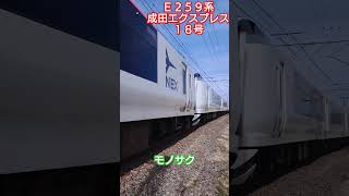 モノサクを疾走する、E259系成田エクスプレス18号‼️ ＃モノサク ＃E259系 ＃成田エクスプレス18号 2024/02/15 12時14分