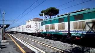 E655.166 + Treno dei Gelati [CASTELGUELFO - M. MARCIANISE] in transito a Pomezia