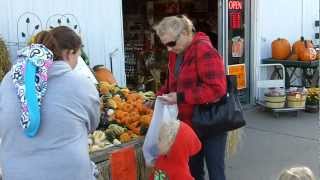 Selmi's  Farm Market  at Halloween  Season