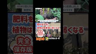 【16/16】肥料をやると植物は病害虫に弱くなる