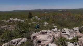 Beardon Knob 360 of Canaan Valley Saturday May 25th 2013