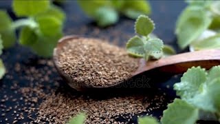 Top 3 Benefits of Ajwain ( Carom Seeds) | Benefits of Ajwain for Skin, Hair and Weight Loss |