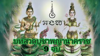 บทสวดบูชาพญานาคราช พ่อปู่ศรีสุทโธ ย่าศรีปทุมมา 9 จบ เรียกทรัพย์ โชคลาภ ความสำเร็จ