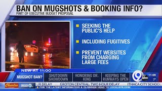 Cuomo seeks mugshot & booking info ban