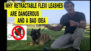 Why Retractable Flexi Leashes are Bad - Robert Cabral - Dog Training