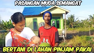 KREATIFITAS‼️PASANGAN PETANI MUDA ASAL TEMANGGUNG OLAH LAHAN RAWA