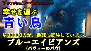 [🪐プレアデス]🌟ブルーエイビアンズ(バヴィーのバヴ)💫約3万人が、地球に転生しています🙌幸せを運ぶ青い鳥/死を経験しません🌈プレアデスのラーカからのメッセージ #ブルーエイビアン #青い鳥 #不死