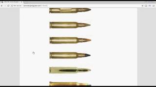 Ammo Buyers Guide