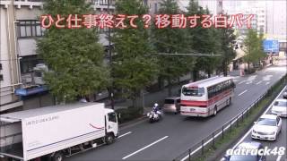 【白バイの取締】狙っているのは、黄色線で車線変更するクルマ？