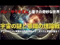 宇宙の謎と意識の理論：パン・サイキズムと量子の奇妙な世界(TheMysteriesoftheUniverseandtheTheoryofConsciousness),#理論,236,#youtube