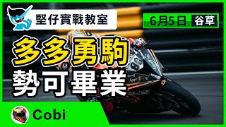 【堅仔實戰教室】(6月5日) 多多勇駒 勢掟馬簿 — 民間高手Cobi｜賽馬貼士​​​​​​​｜賽馬賠率｜谷草賽事