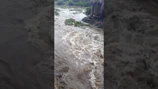 Kundaleswaram wairu water floating