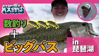 ハードルアー縛りでバスを釣る！Vol.6 in 琵琶湖