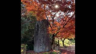 高源寺（兵庫県青垣町）の紅葉～岩屋山（兵庫百山）2022.11.8