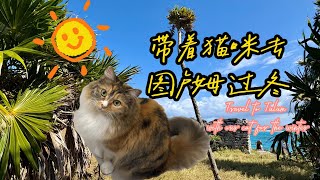 【在图卢姆过冬#1】带着猫咪去图卢姆过冬｜Travel to Tulum with our cat for the winter